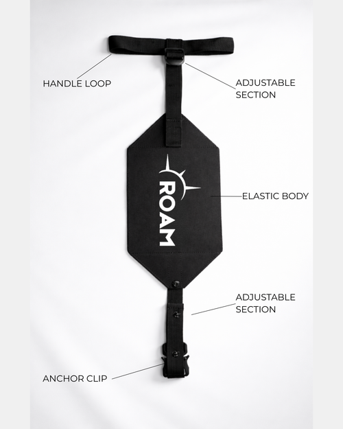 Roam Link - Luggage Strap
